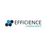 Logo de l’entreprise cliente Efficience Consultants Vannes et Auray